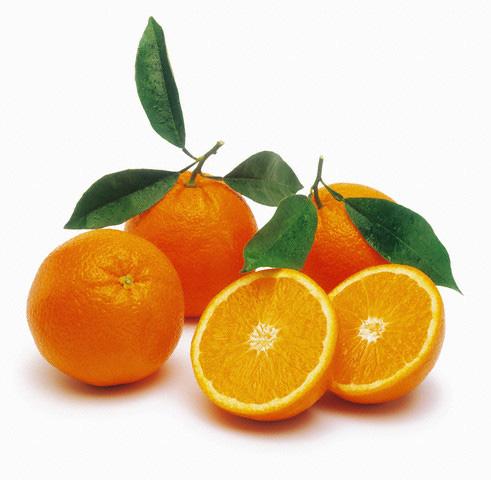 Orange.1.JPG